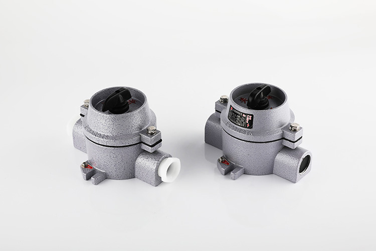 防爆照明開關 SW-10/220V